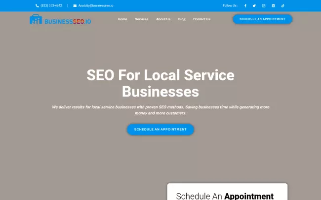 Screenshot of the BusinessSEO.io  Website