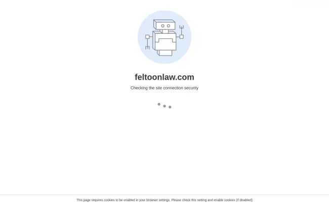 Screenshot of the Feltoon Law, PLLC Website