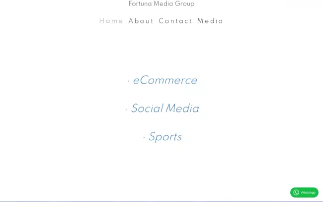 Screenshot of the Fortuna Media Group Website