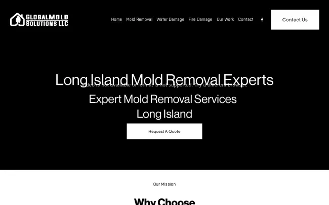 Screenshot of the Global Mold Solutions LLC Website