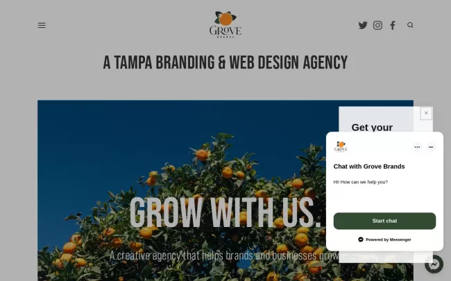 Screenshot of the Grove Brands Website