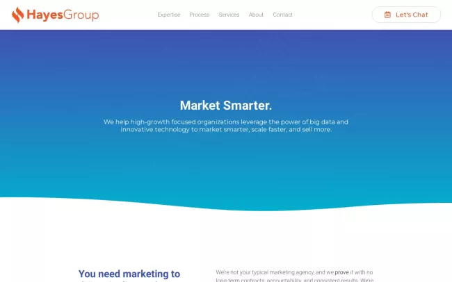 Screenshot of the The H@yes Group, LLC Website