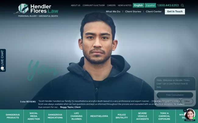 Screenshot of the Hendler Flores Law Website