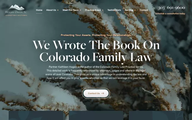 Screenshot of the Hogan Omidi, P.C. Website