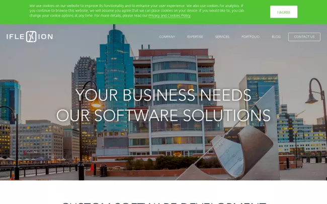 Screenshot of the Iflexion Website