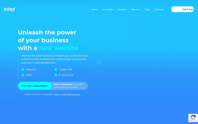 Screenshot of the Intex Agency Website
