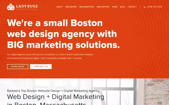 Screenshot of the Ladybugz Interactive Agency Website