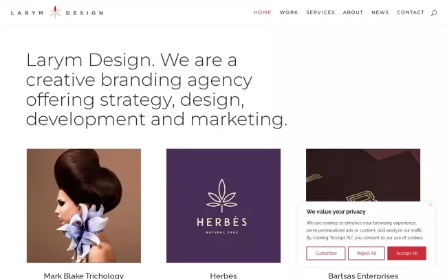 Screenshot of the LARYM DESIGN Website