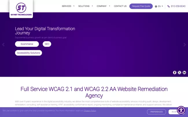 Screenshot of the Skynet Technologies Website