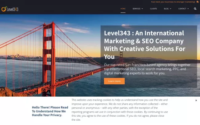 Screenshot of the Level343 LLC - International Marketing & SEO Company Website