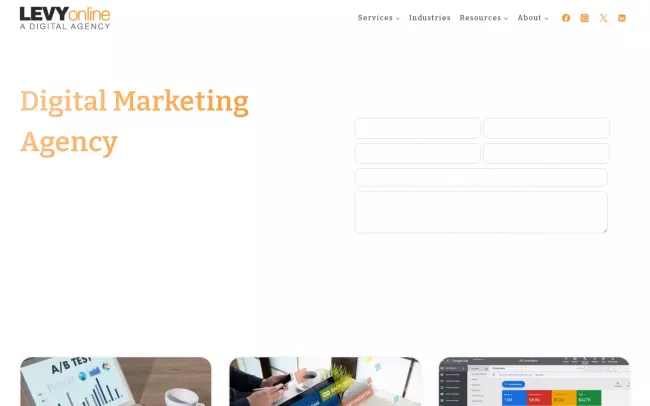 Screenshot of the Levy Online Website