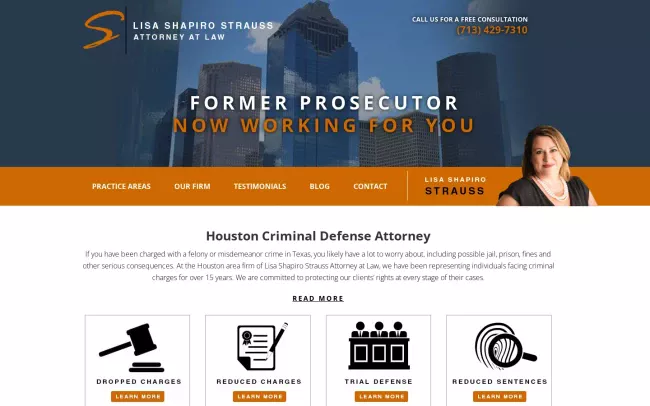 Screenshot of the Lisa Shapiro Strauss Attorney at Law Website