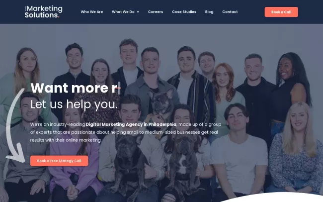 Screenshot of the Local Marketing Solutions Website