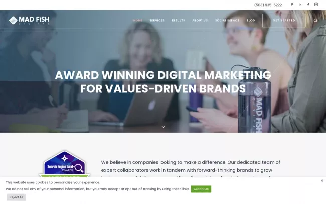 Screenshot of the Mad Fish Digital Website
