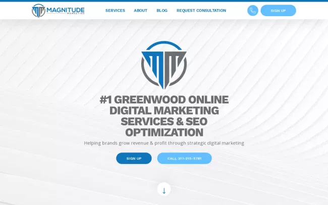 Screenshot of the Magnitude Marketing Website