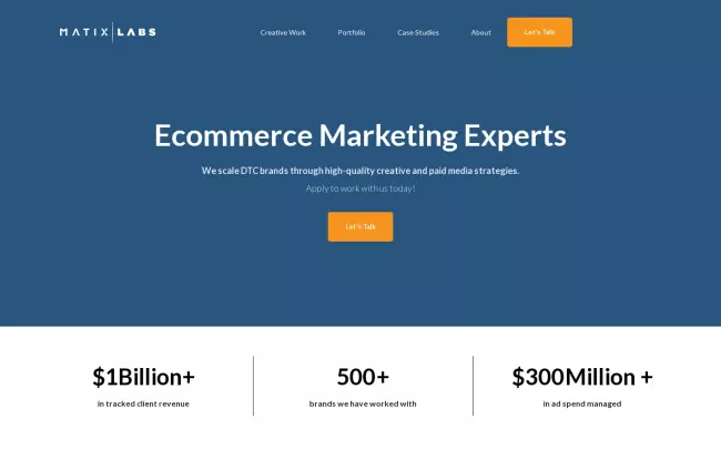 Screenshot of the Matix Labs Website