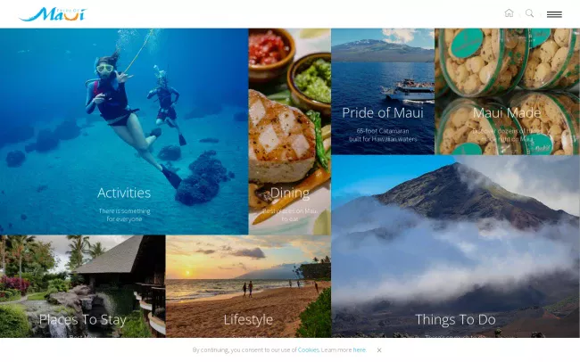 Screenshot of the Maui Blog