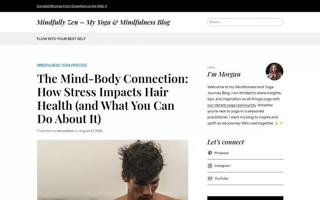 Screenshot of the Mindfully Zen Blog