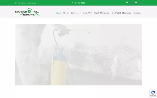 Screenshot of the Mold Removal Kitchener - KW Black Mold Experts Website