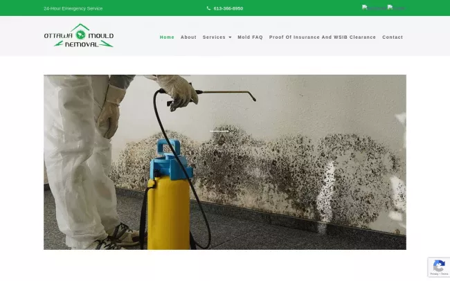 Screenshot of the Ottawa Mold Removal - Mould Removal Ottawa Website