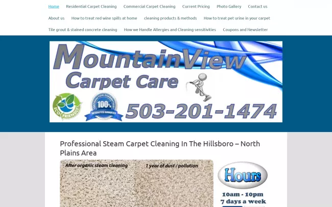 Screenshot of the Mountain View Carpet Care Website