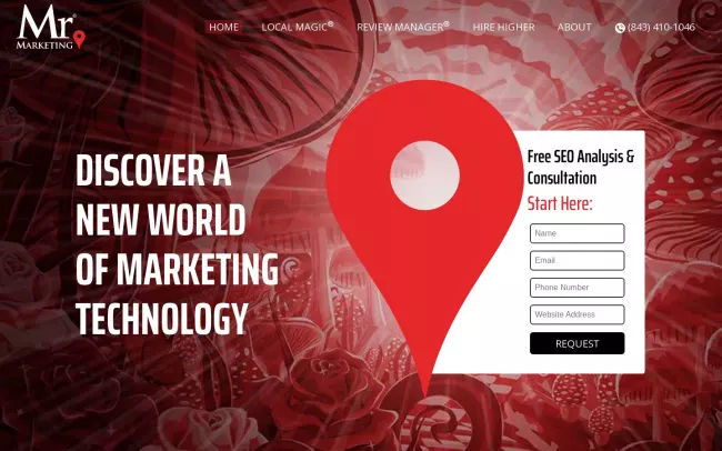 Screenshot of the Mr. Marketing SEO Website