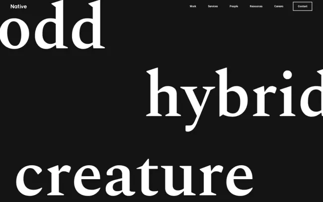 Screenshot of the Native Digital Website
