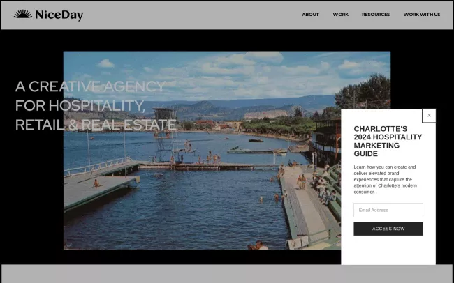 Screenshot of the NiceDay Website