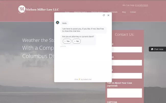 Screenshot of the Nielsen Miller Law, LLC Website