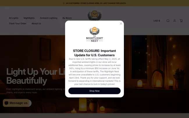 Screenshot of the The Nightlight Nest Website