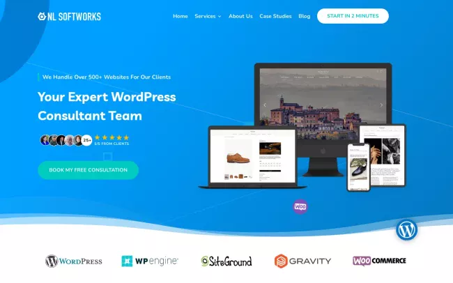 Screenshot of the NL Softworks Website