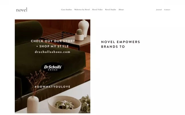 Screenshot of the Novel Website