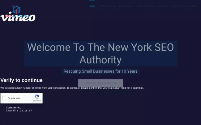 Screenshot of the NEW YORK SEO Authority Website