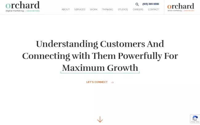 Screenshot of the Orchard Digital Marketing Website