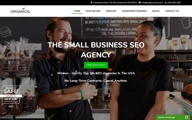 Screenshot of the Organical - The SEO Experts Website