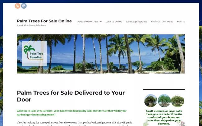 Palm Trees for Sale Online