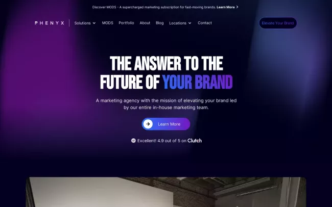 Screenshot of the PHENYX Digital Marketing Agency Website