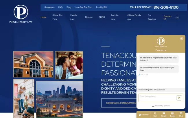 Screenshot of the Pingel Family Law Website
