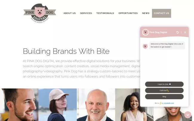Screenshot of the Pink Dog Digital Website