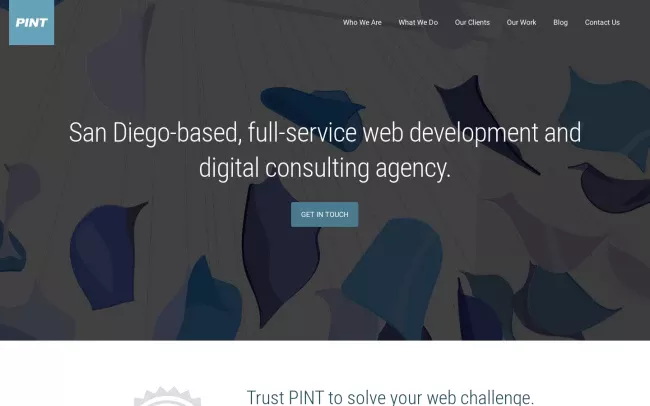 Screenshot of the PINT, Inc. Website