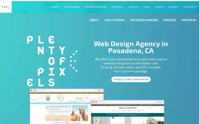 Screenshot of the Plenty of Pixels Website