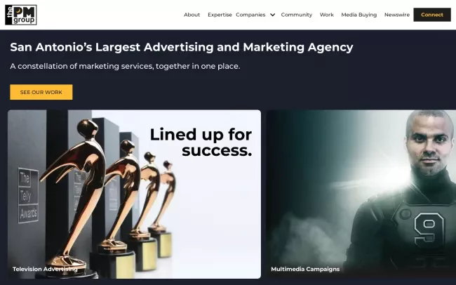 Screenshot of the The PM Group Website