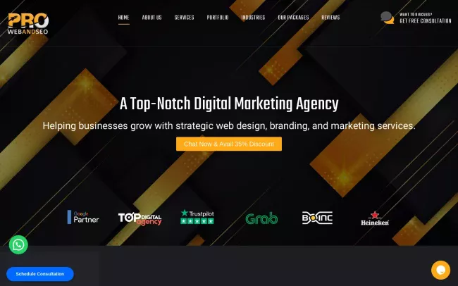 Screenshot of the Pro Web and SEO Website