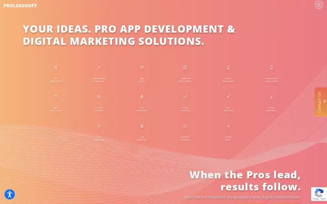 Screenshot of the Proleadsoft Website