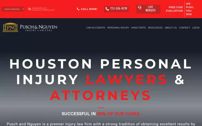 Screenshot of the Pusch & Nguyen Website