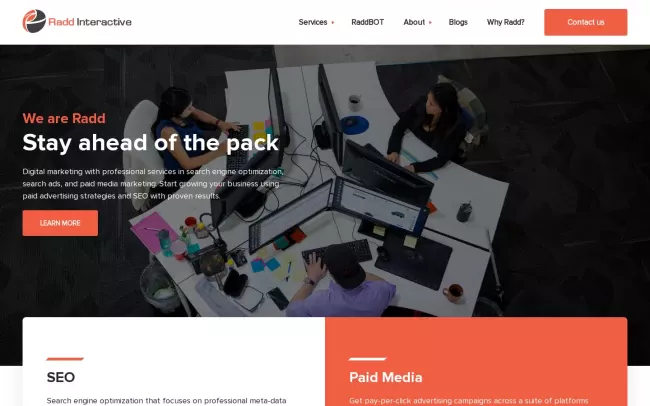 Screenshot of the Radd Interactive Website