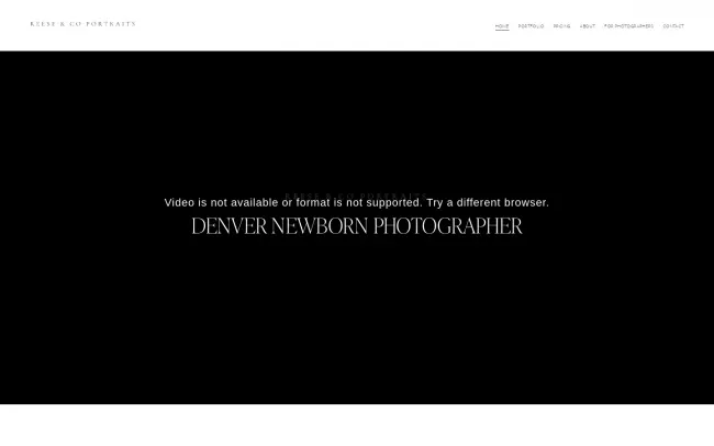 Screenshot of the Reese & Co Portraits Website