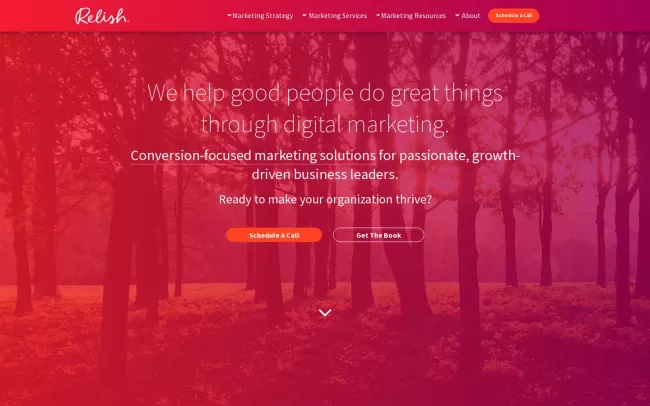 Screenshot of the Relish Studio Website