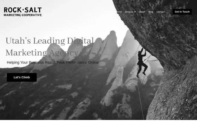 Screenshot of the Rock Salt Marketing Cooperative Website