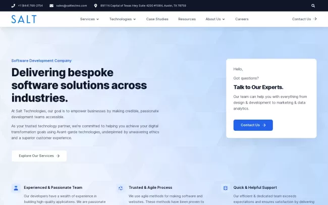 Screenshot of the Salt Technologies, Inc. Website